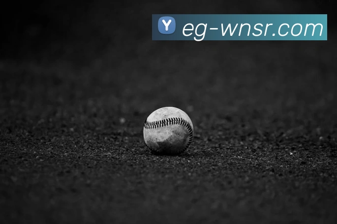 威尼斯人娱乐网站平台生态图